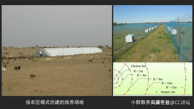 台风_台风是什么意思-天气网天气百科